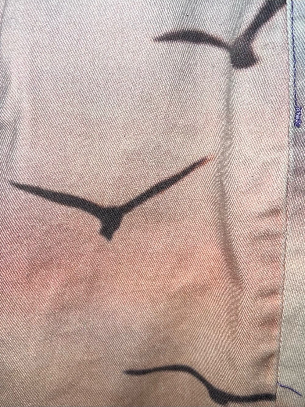 BDG Urban Outfitters Cowboy Jean Sunset Bird Print Size 26 - Picture 7 of 17